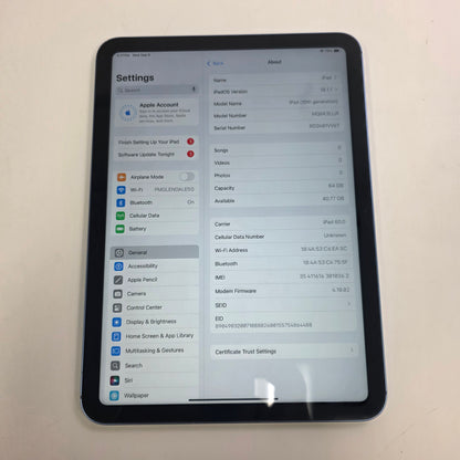 Factory Unlocked Apple iPad 10th Gen 64GB Blue MQ6K3LL/A